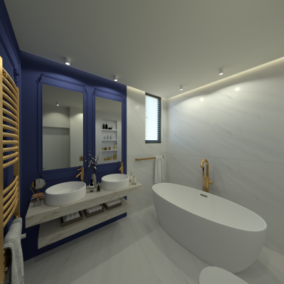 Proiect Casa Dobroesti